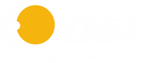 DSI Digital Systems Installation